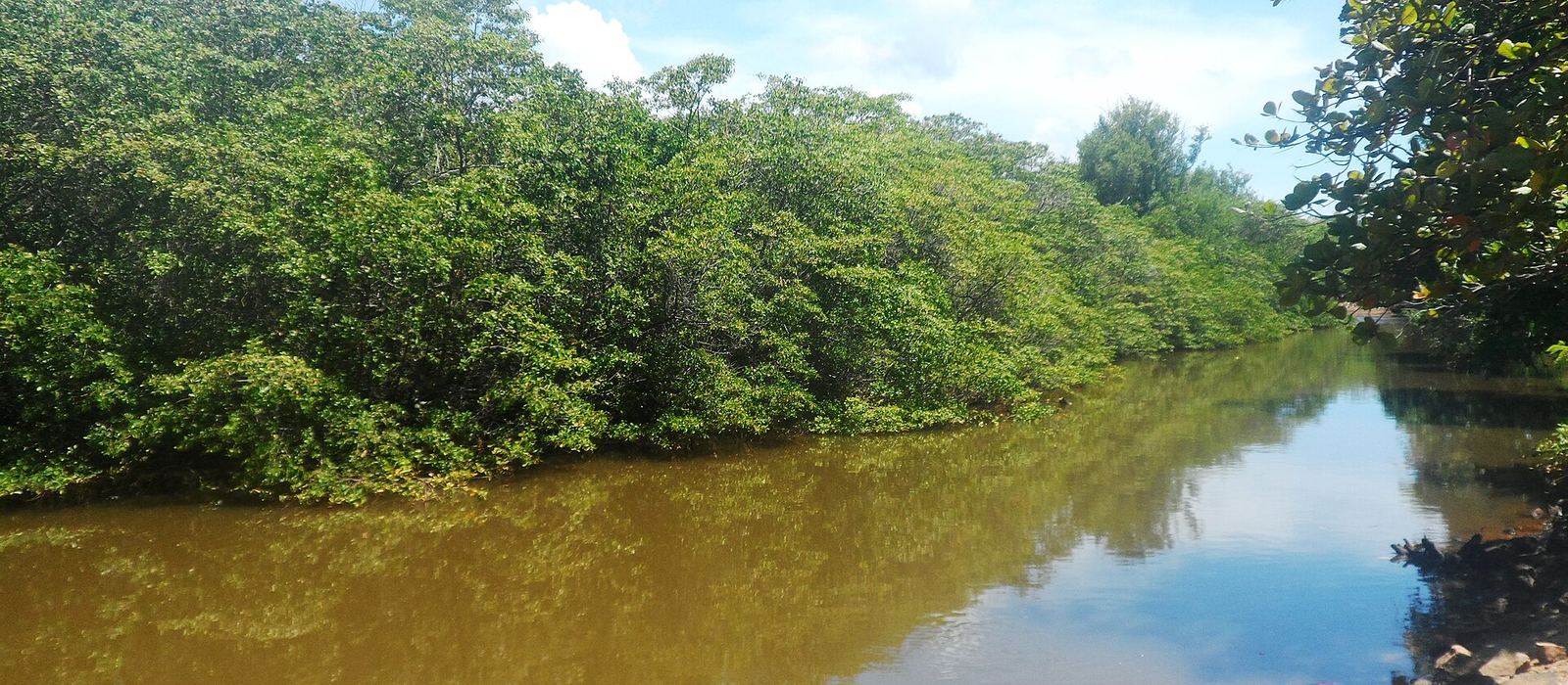 Paisagem de Porto de Pedras