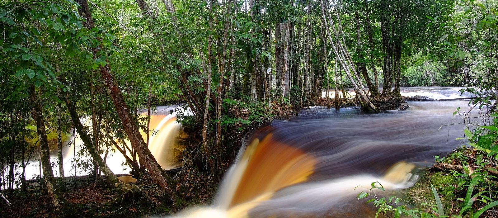 Paisagem de Presidente Figueiredo