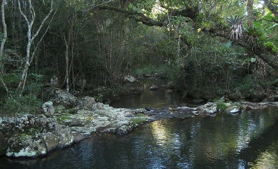Cachoeira da Gurita, ponto de chegada do Caminho da Gurita, na Lagoa do Peri