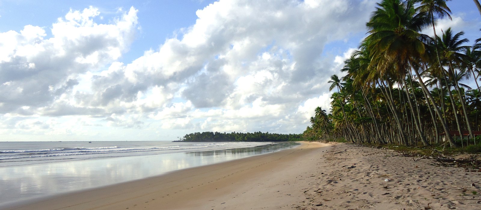 Paisagem de Cairu