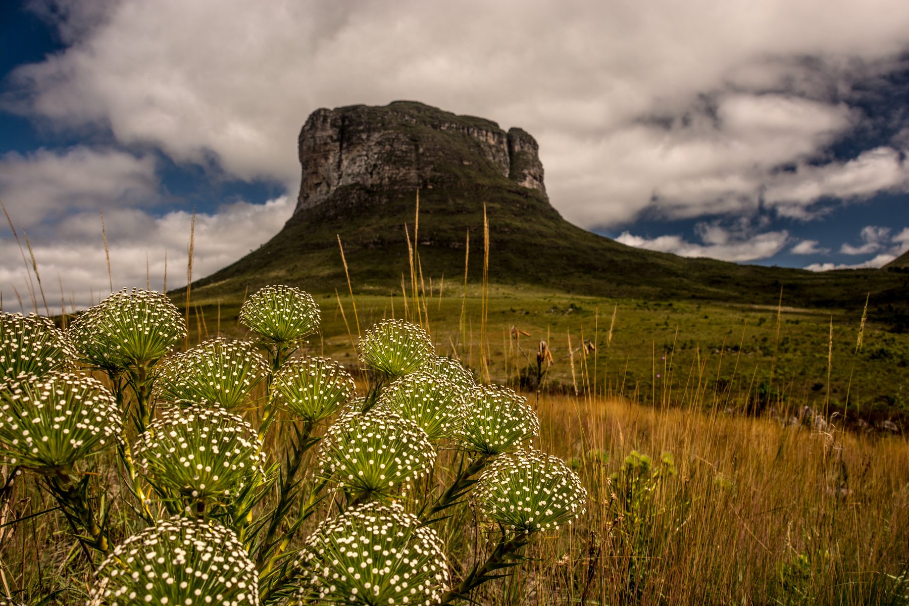 Morrão, no Parque Nacional da Chapada Diamantina