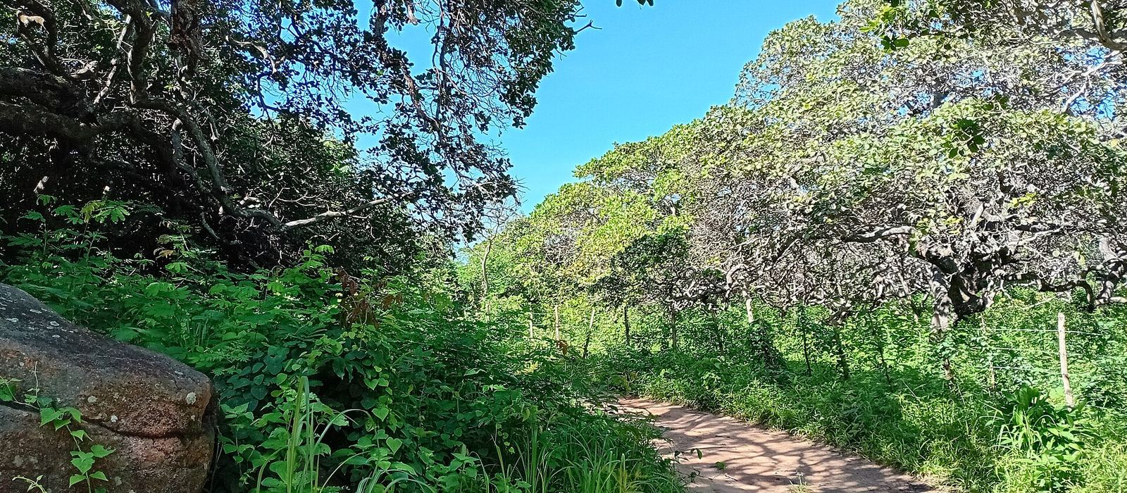 Paisagem de Meruoca