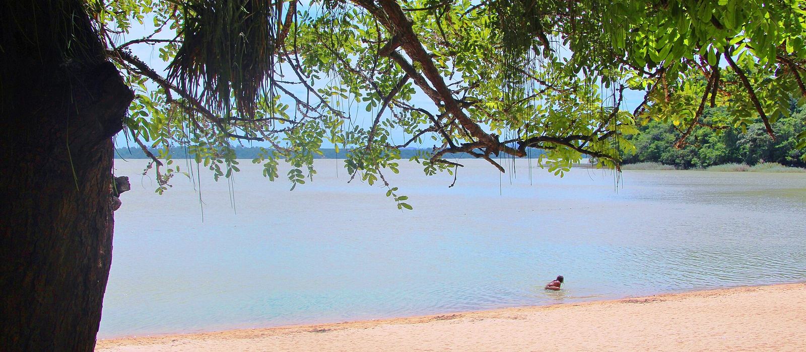Paisagem de Linhares