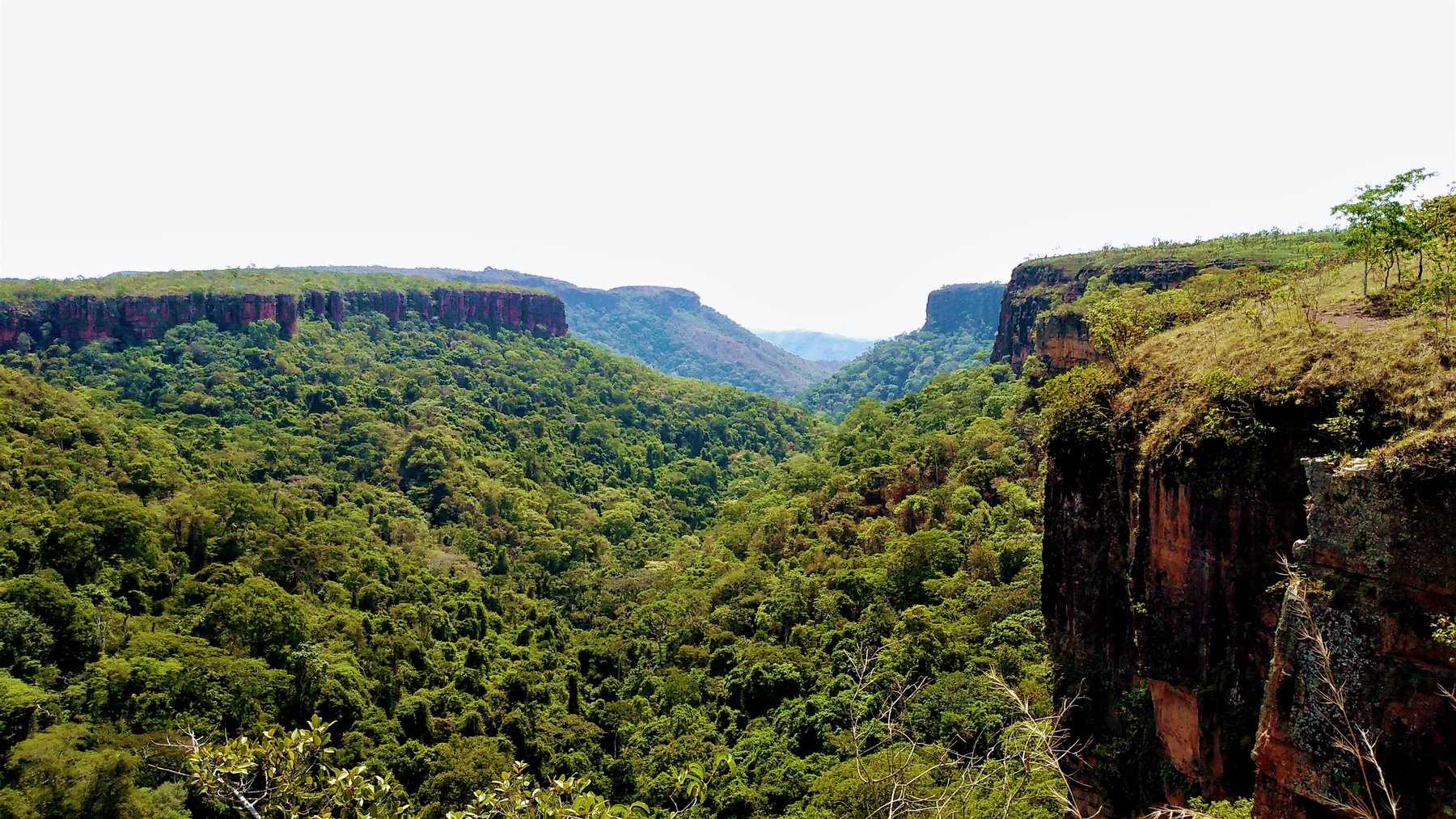 Área de Proteção Ambiental da Chapada dos Guimarães
