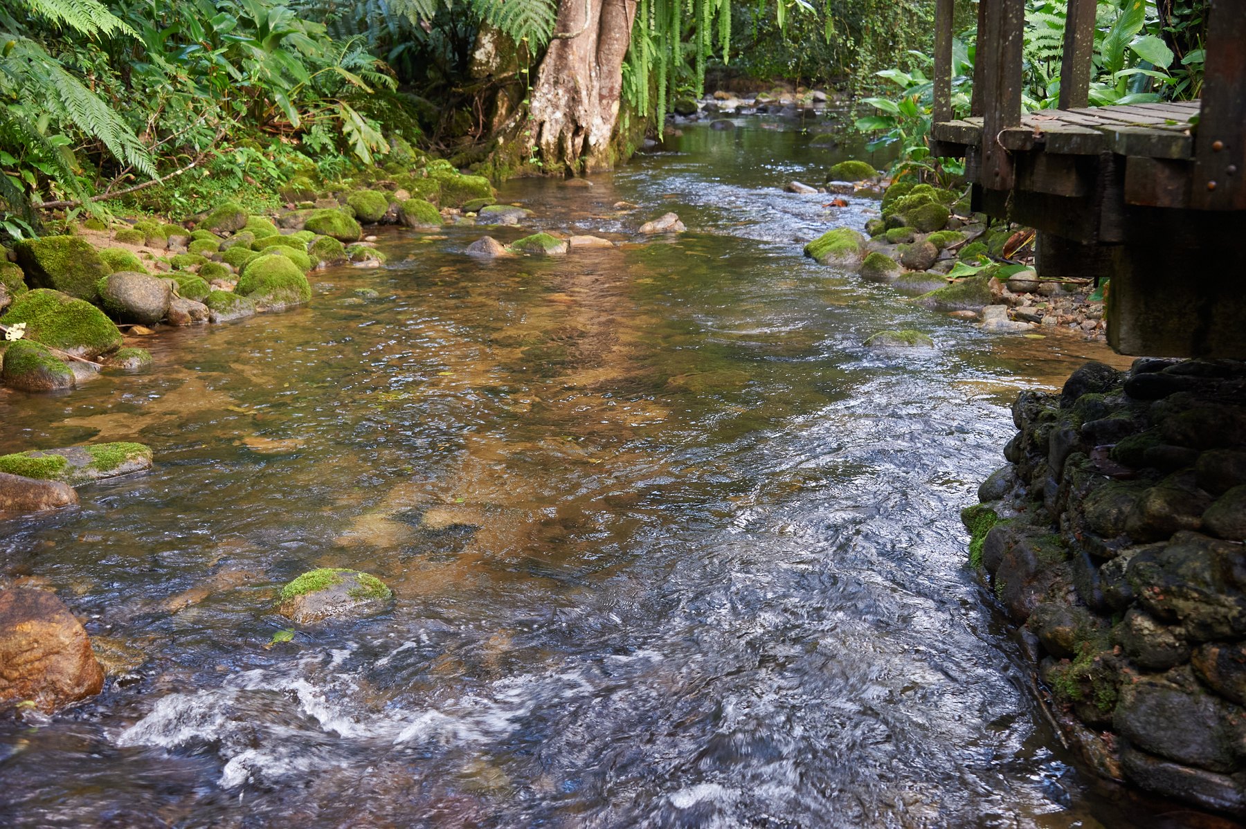 Área de Proteção Ambiental de Guaraqueçaba
