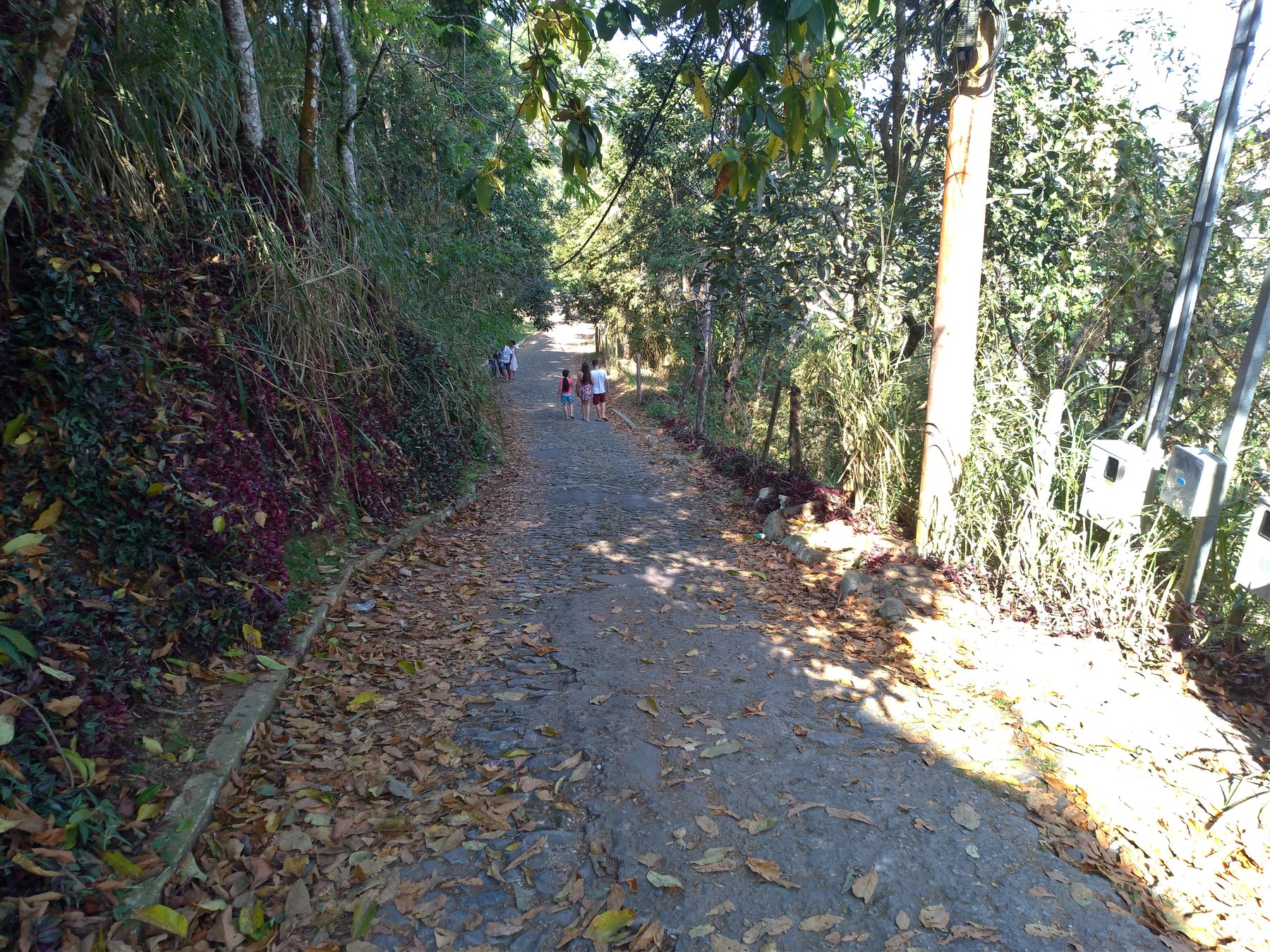 Monumento Natural Estadual Pico do Ibituruna