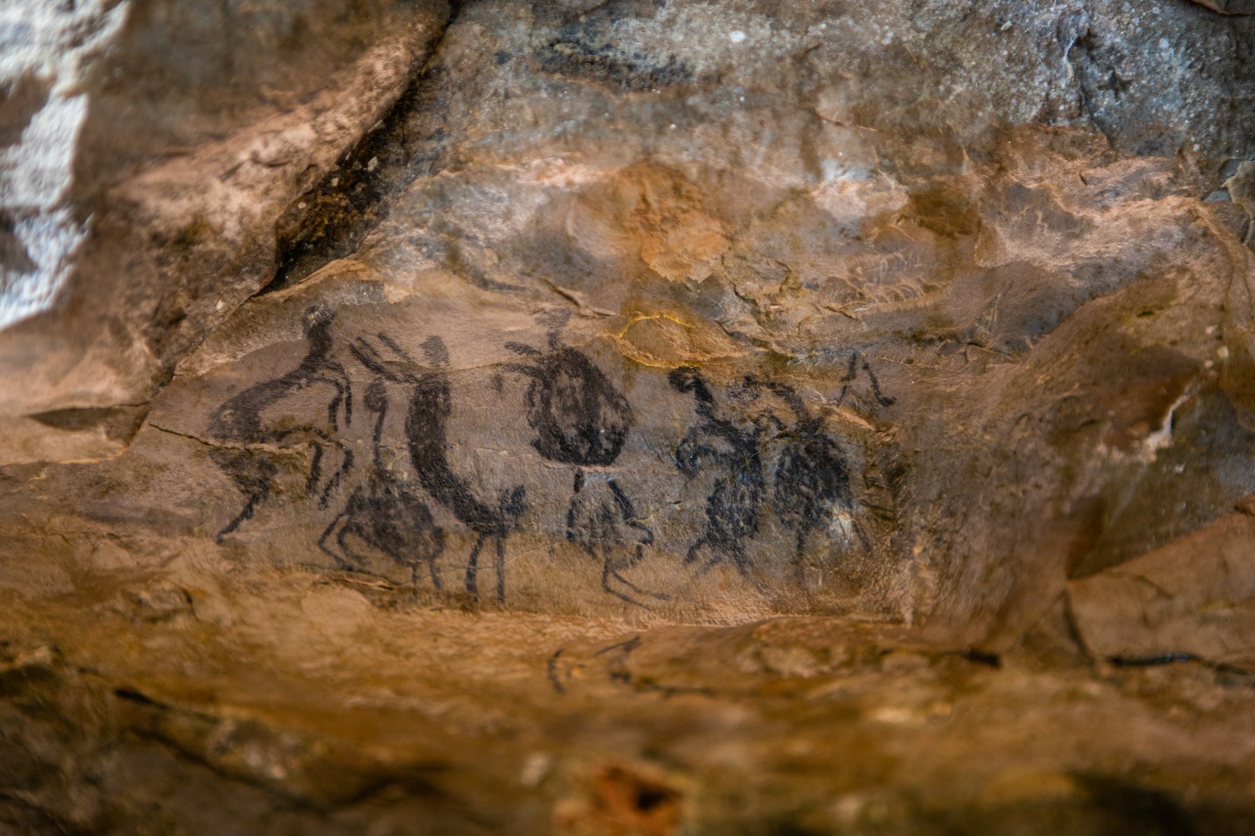 Parque Nacional Cavernas do Peruaçu