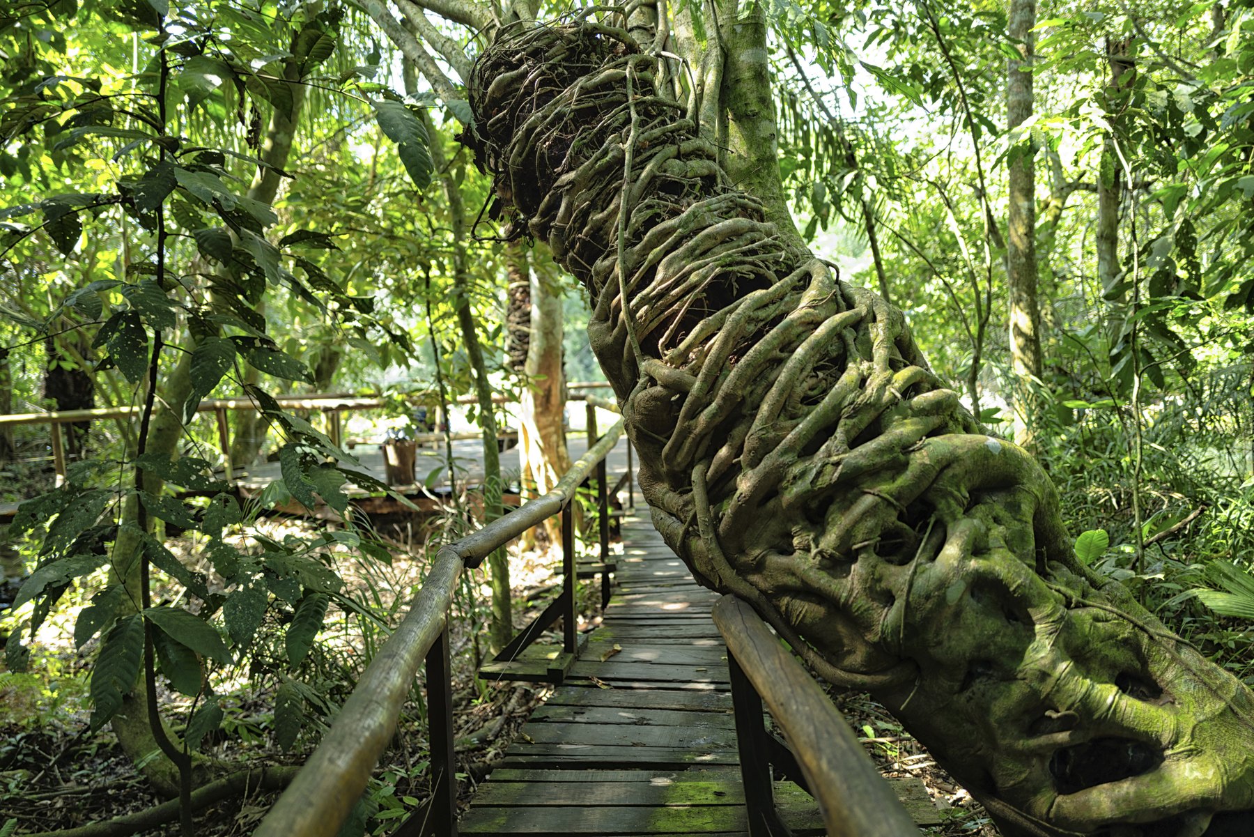 Parque Nacional da Serra da Bodoquena