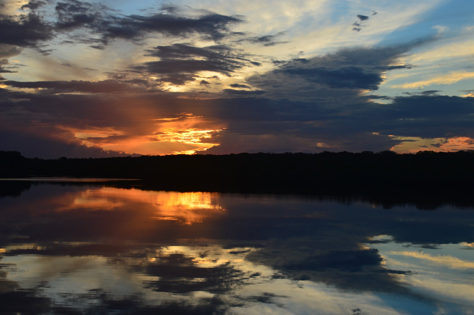 Parque Nacional do Jaú