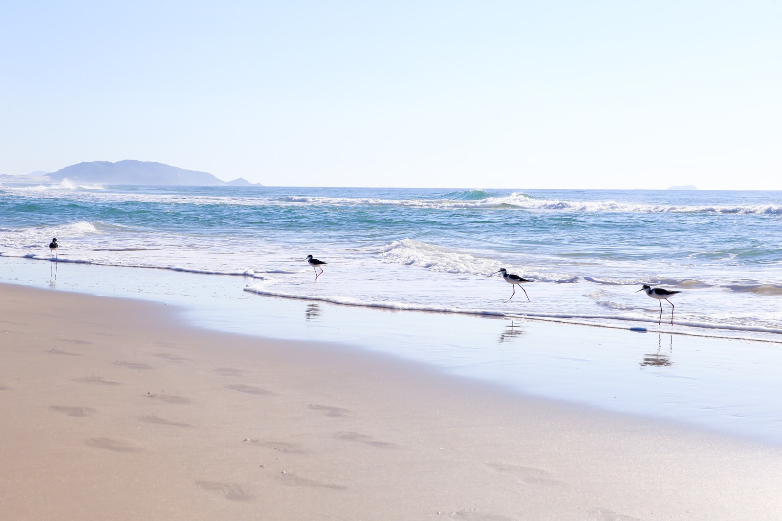 Praia do Campeche