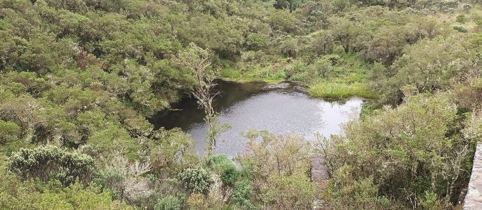 Paisagem de Itamonte