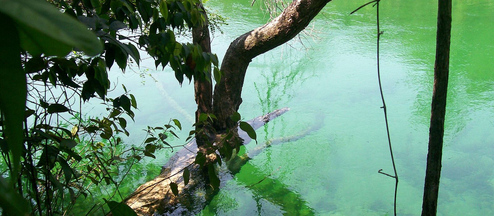 Paisagem de Juína