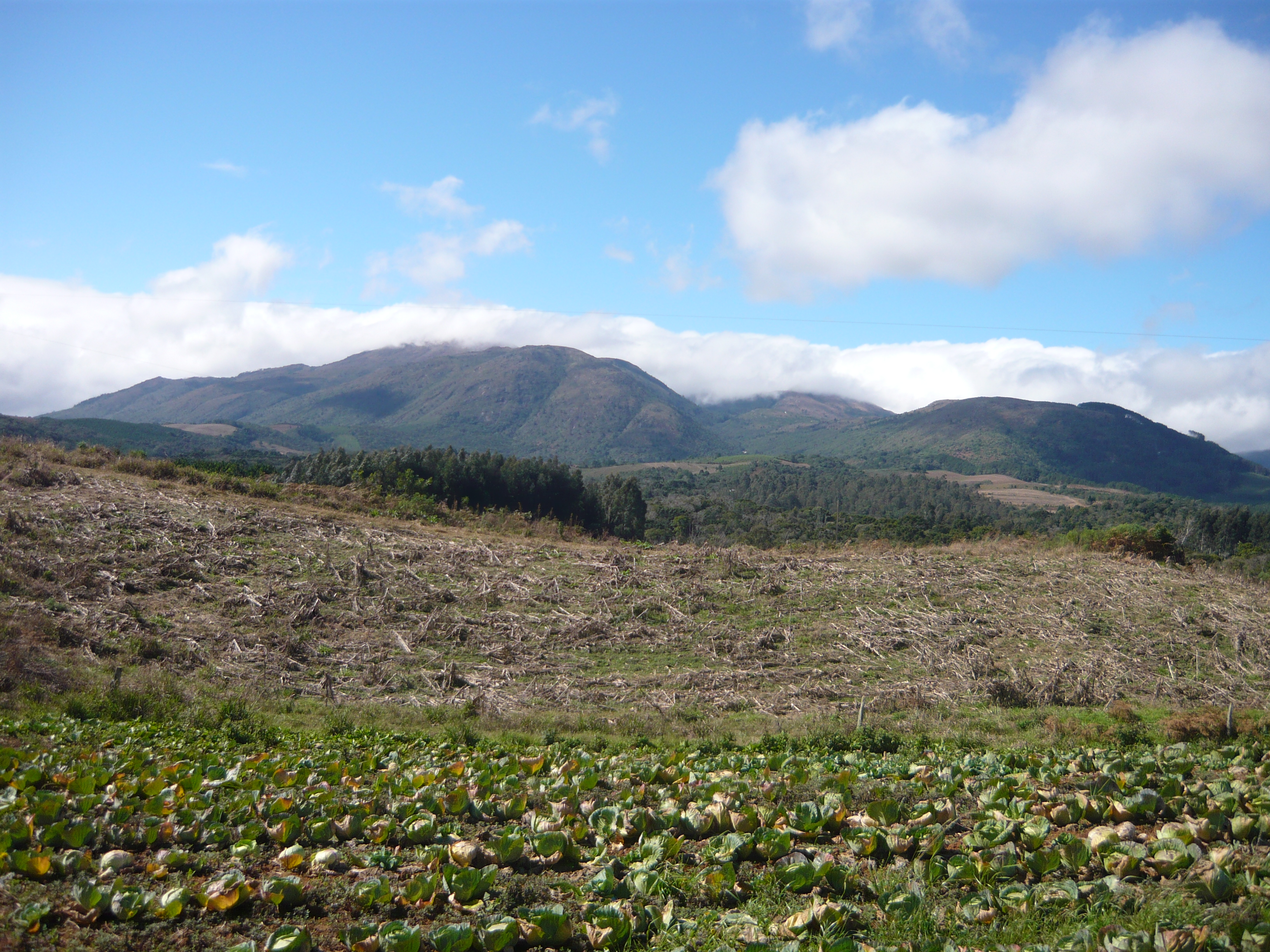 Paisagem de Tijucas do Sul