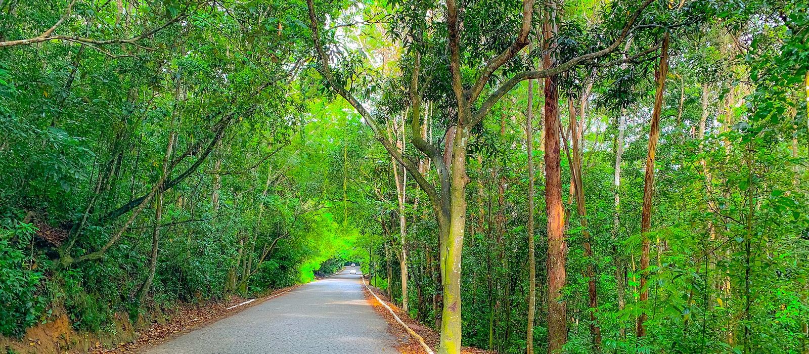 Paisagem de Tamandaré