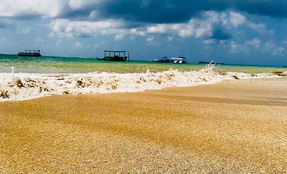 Praia Ponta do Mangue, em Maragogi