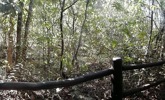Trilha da Capivara, em Brazlândia