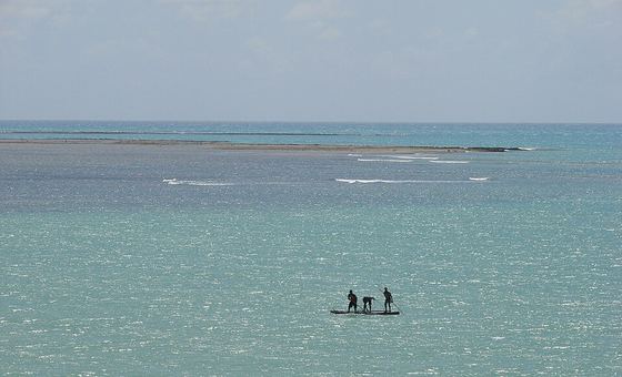 Acesso Público Praia dos Carneiros