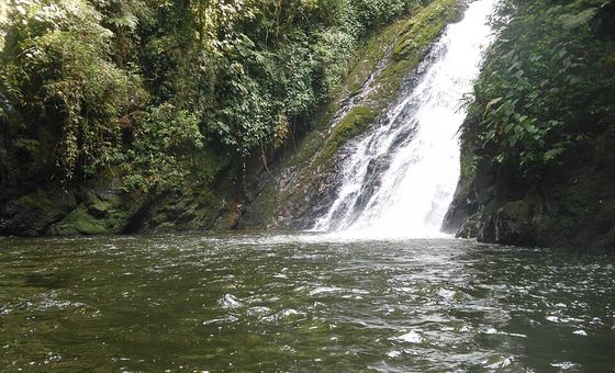 Cachoeira Guamirim, em Morretes