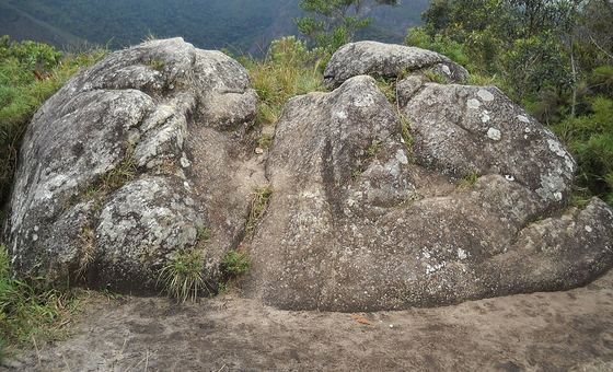 Ajax, em Petrópolis