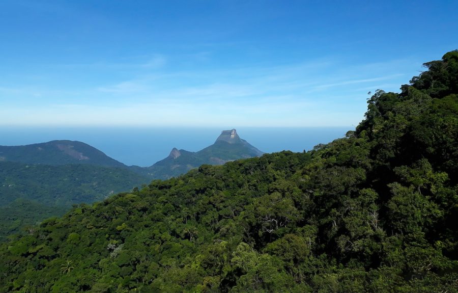 Pico da Tijuca, em Rio de Janeiro