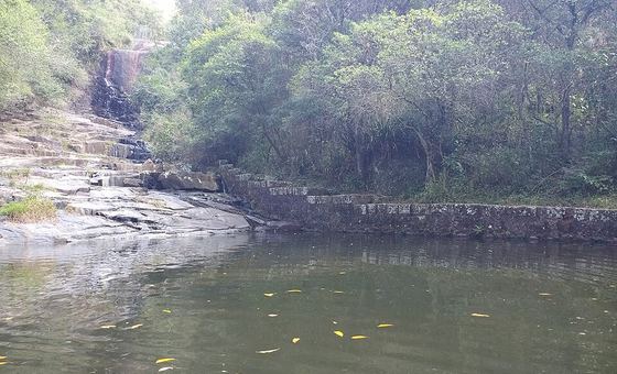 Caminho da Costa da Lagoa ao Canto dos Araçás