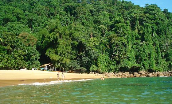 Praia do Cedro, em Ubatuba