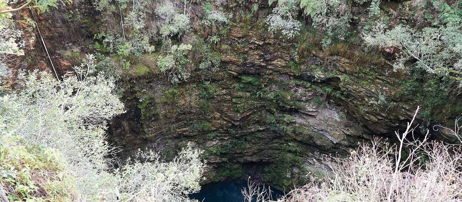 Paisagem de Ponta Grossa