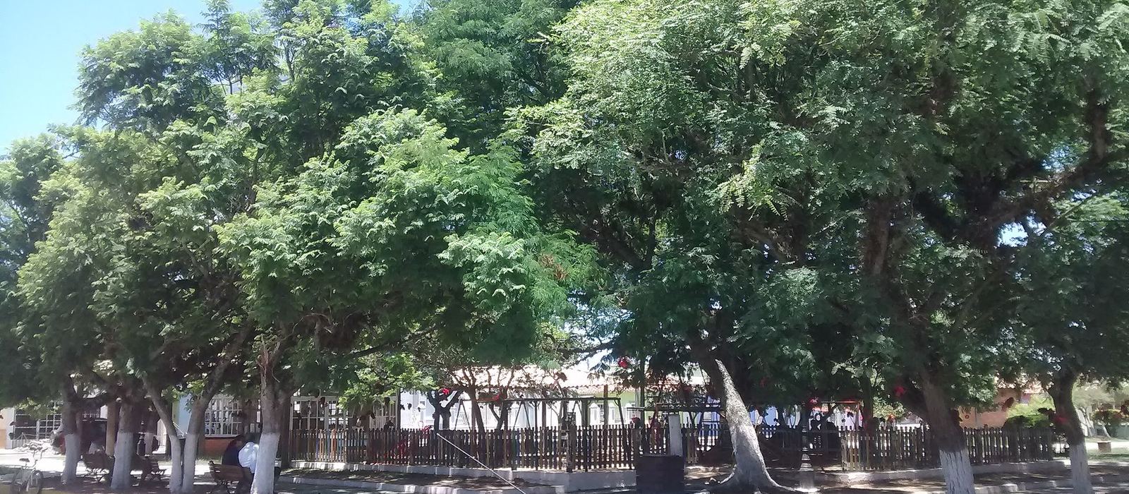 Paisagem de Mostardas