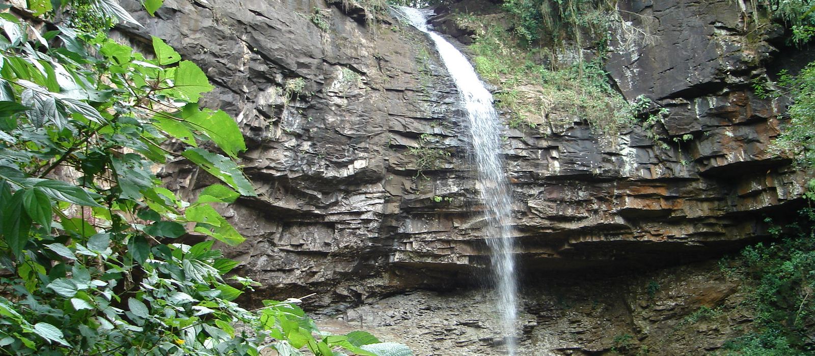 Paisagem de Taquara