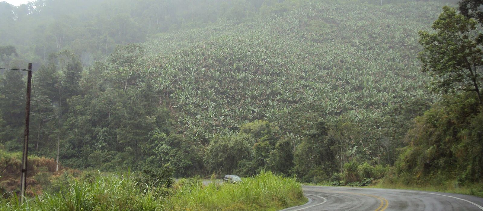 Paisagem de Corupá