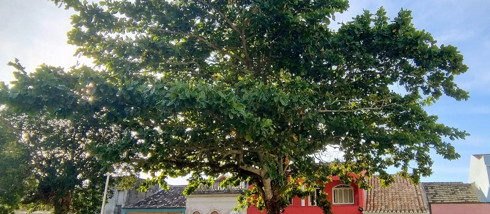 Paisagem de Laguna