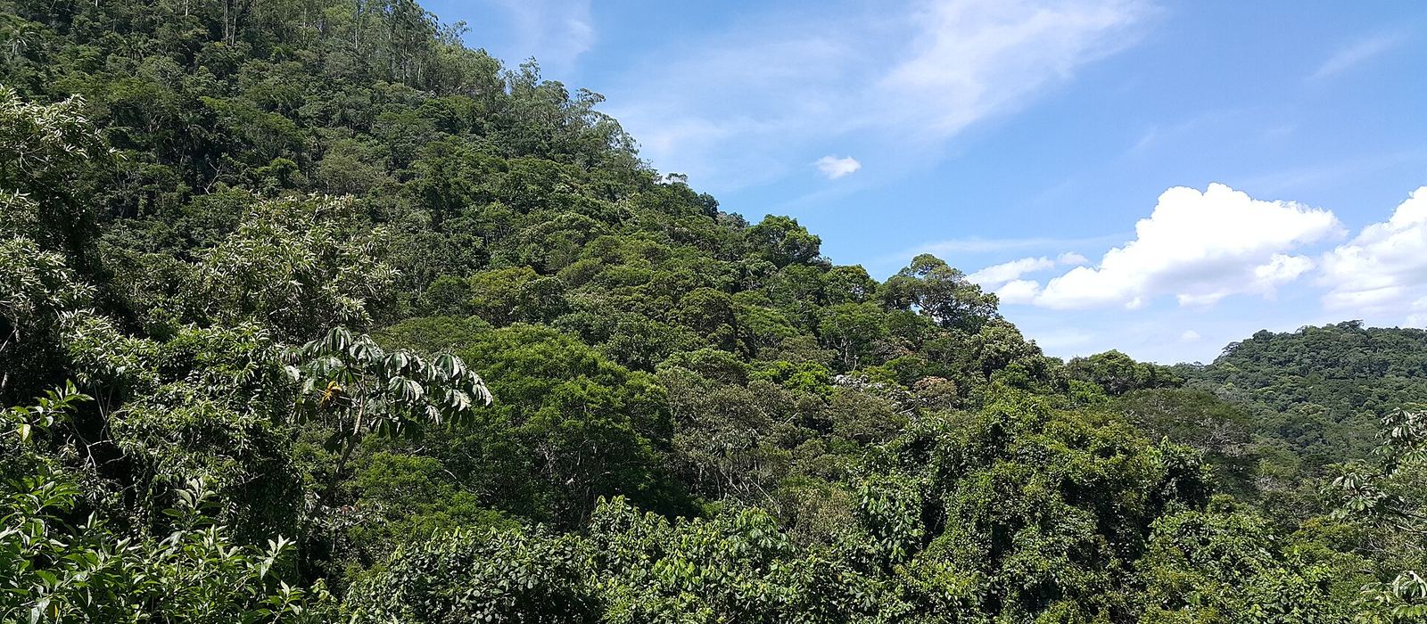 Paisagem de Paraibuna