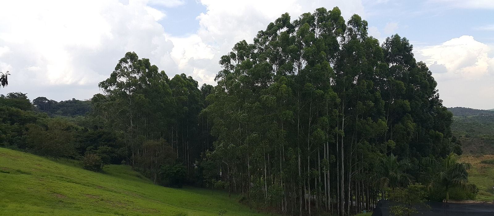 Paisagem de Taubaté