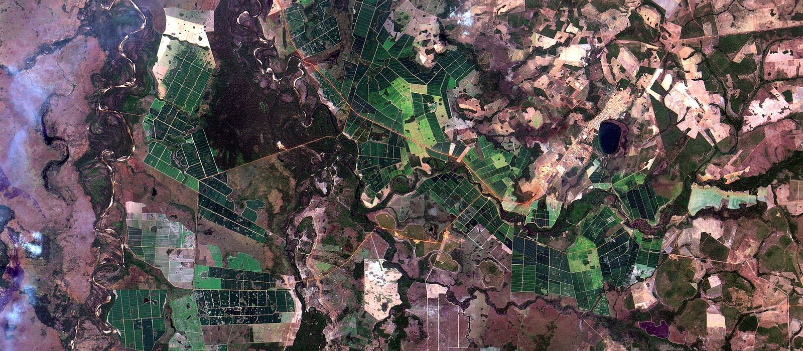Paisagem de Lagoa da Confusão